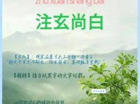 注玄尚白什么意思 它的出处和实际应用场景