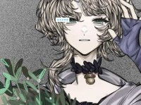 你知道mistletoe什么意思吗？揭秘槲寄生背后的浪漫传说