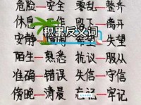 学习理解聪颖的反义词：愚钝、愚昧、鸠拙的区别