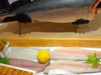 wasabi是什么意思及用法？除了蘸生鱼片还能这样吃