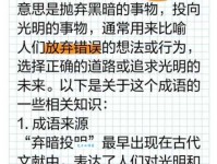 弃暗投明意思和用法：成语背后的故事