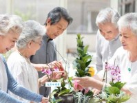 安居乐业是什么意思 现代人如何理解这个传统观念