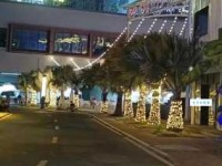 正式的意思：仪式与规范的力量