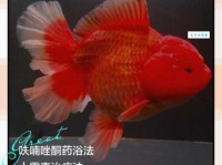 想知道金鳞是什么意思？这里有最全的解答