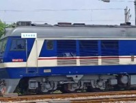 苍蝇碰壁是什么意思：解读这一俗语背后的深意与启示