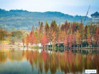 满载一船秋色，平铺十里湖光。