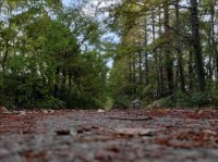 深山长谷探险：走进荒远偏僻的山谷世界