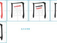 围字怎么读？围字的拼音、读法及常用词语解释