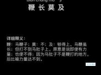 彻底弄懂鞭长莫及是什么意思？包含例句和出处