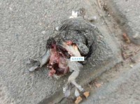 触目惊心的意思你知道吗 生活中常见场景举例