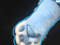 “爪牙之士”到底是什么意思？一分钟让你搞懂！