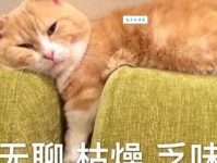 枯燥乏味的意思是什么如何让生活不再无聊