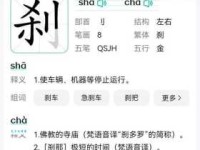 “啰”字到底怎么读？拼音、读音及常用组词详解