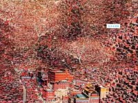 密密麻麻的意思详解 生活中常见的场景举例