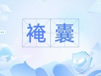 囊是什么意思