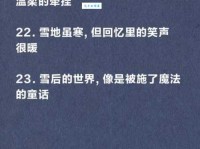 描写雪花飘落的唯美句子大全：分享最动人的雪花飘落场景