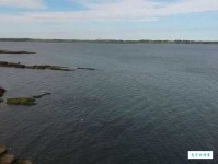 纸笔喉舌意思解释及典故