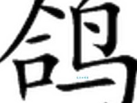 汉字“鸽”的读音、意思、用法、释义、造句