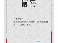 睑怎么读？睑怎么念？睑的拼音是什么？睑字有哪些组词？