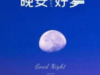 简短一句话睡前发朋友圈的句子