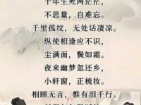 十年生死两茫茫，不思量，自难忘。