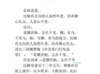 志在千里是什么意思 成语背后的故事你知道吗