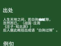 白驹过隙的意思_白驹过隙的近义词｜反义词_白驹过隙造句例句