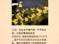 花枝招展的意思和近义词还有哪些类似表达方式