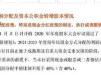 举不胜举：探讨那些数不尽的成功案例