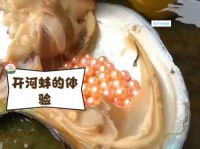 河蚌怎么读？河蚌的读音和意思