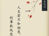 百年之好意思解释及典故(我们该如何理解爱情和婚姻的真谛)