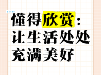 欣赏的意思与用法学会欣赏生活中的美好