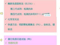 EGD含义大揭秘：从电子政务到医学检查