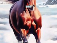 万马奔腾：成语含义、出处及例句详解，一看就懂