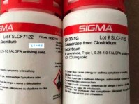 枭首示众是什么意思：历史语境中的残酷刑罚