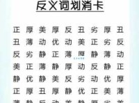 不再反抗，选择什么？反抗的反义词及用法详解