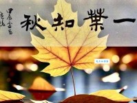 一叶知秋的意思