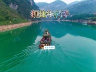 抓牛鼻子是什么意思 生活中如何抓住重点