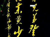 遥知兄弟登高处，遍插茱萸少一人。