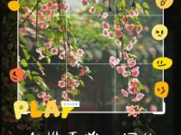 淡然一笑是什么意思 为什么说它是最高级的表情