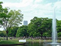 贼走关门是什么意思：事后的徒劳之举