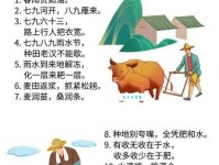 风调雨顺是什么意思 简单解释这个成语的由来