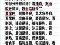 狼心狗肺的意思解释、造句、出处典故、成语接龙