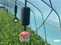 灌溉是什么意思？不同场景下的灌溉含义