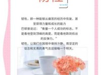 韧性的意思解析 为什么它对成功至关重要