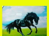 汉字“蹄”的读音、意思、用法、释义、造句