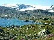 韩亲仁名字打分及五行吉凶