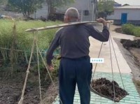 块儿八毛什么意思 老一辈人常用的说法解析