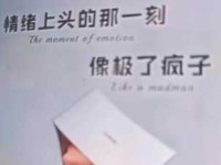 付之一炬是什么意思(跟一把火有什么关系)