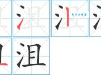“沮”字怎么读？“沮”字的拼音及组词详解，一看就懂！